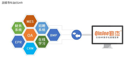 人力資源管理系統(tǒng) 人力資源管理對企業(yè)的重要意義