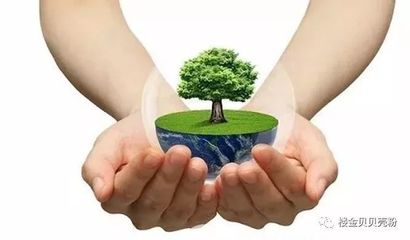 樓金貝貝殼粉已經馳騁墻面,你卻還停留在乳膠漆時代?