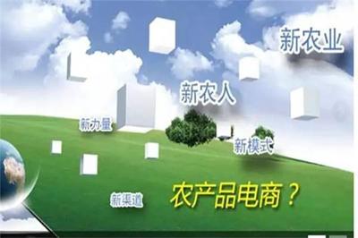 加快農業信息化建設，拓展農產品營銷新渠道